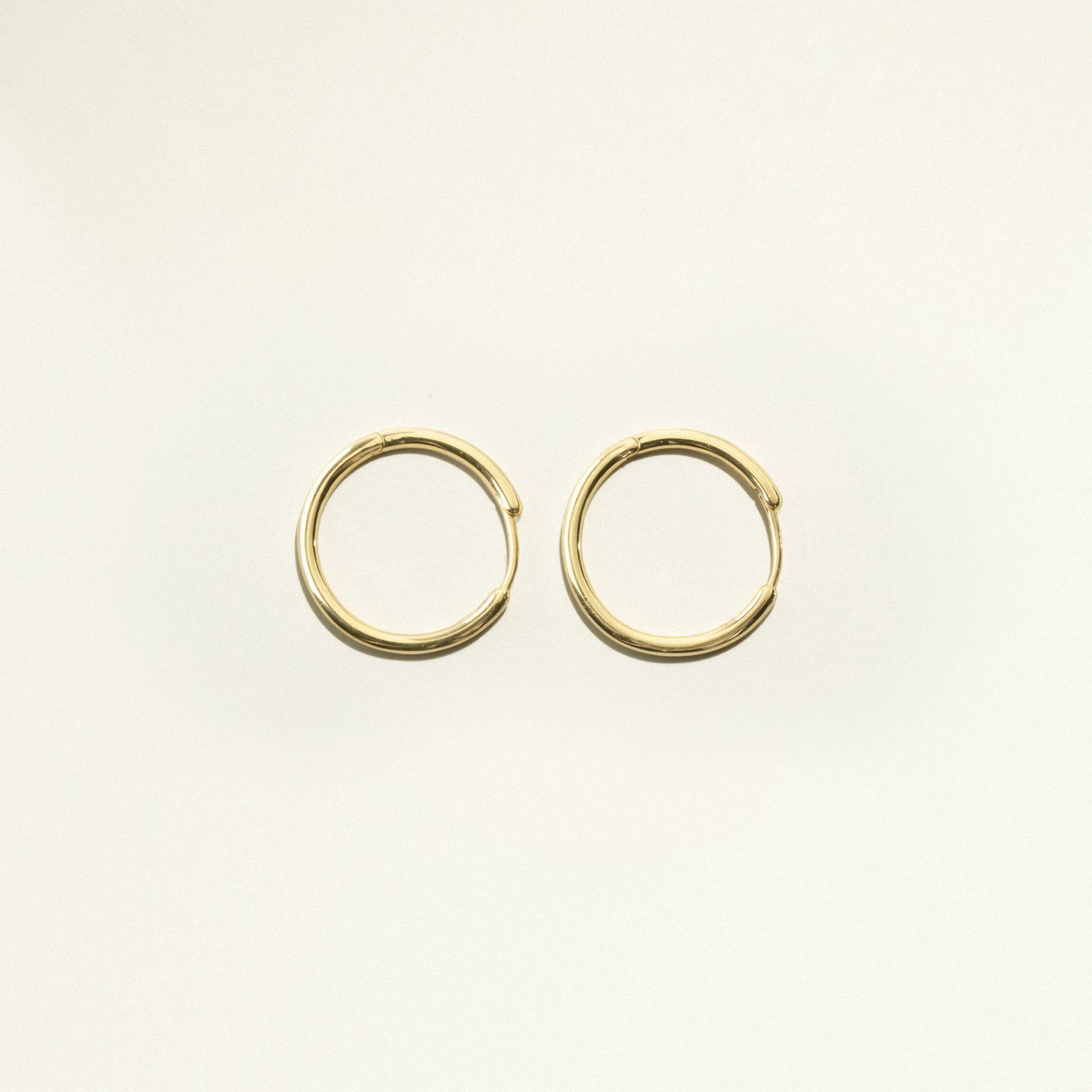 24Kt Gold Plated The Hoops Earrings (Pair)